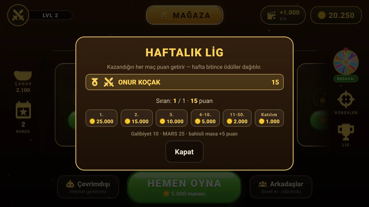 Lig ekranı
